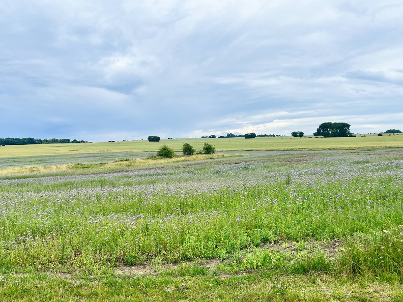 24-07-01 13-00-52 0068.jpeg